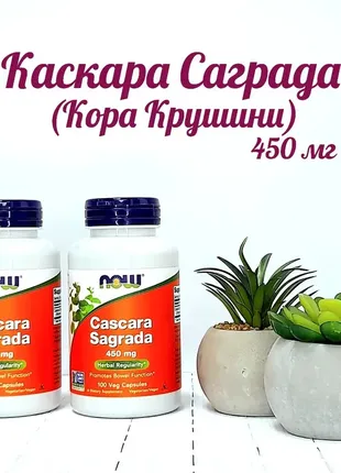 Каскара саграда 450 мг now foods сascara sagrada кора крушини для кішківника 100 капсул1 фото