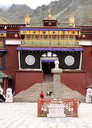 Пахощі тибетські ts лотос подарунок кармапи дьюсум кхенпа мона...3 фото