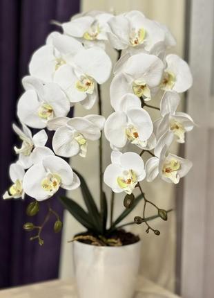 Латексные орхидеи для декора1 фото