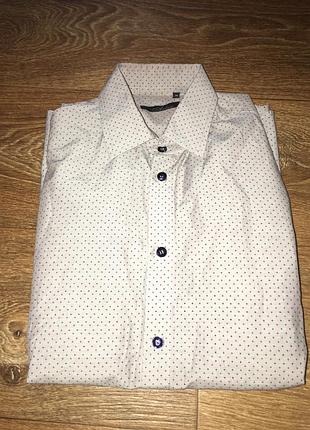 Чоловіча сорочка арбер arber 39