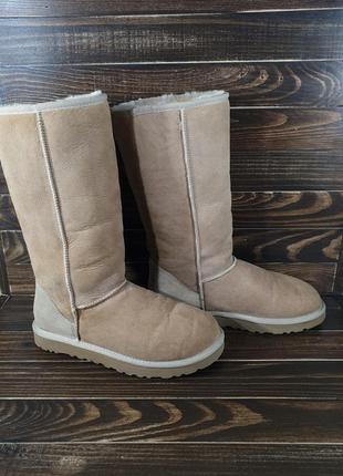 Ugg 5815 classic tall оригінальні черевики оригінальні чоботи