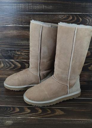 Ugg 5815 classic tall оригинальные ботинки оригінальні чоботи2 фото