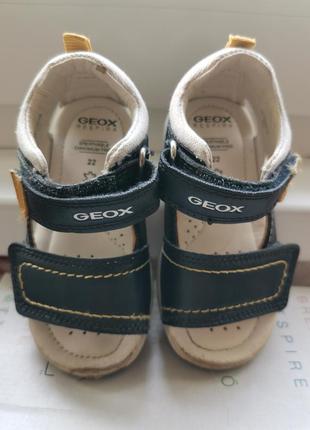 Geox 3