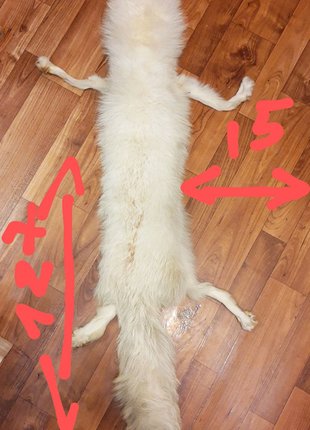 Білий лис на комір