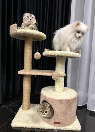 Большой домик для кошек и собак на заказ