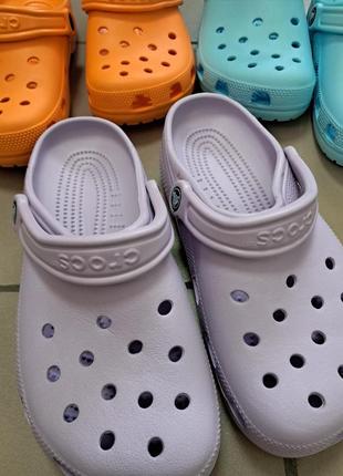 Крокси crocs2 фото