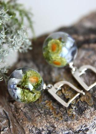 Серьги-шарики с сухоцветами в ювелирной смоле.4 фото