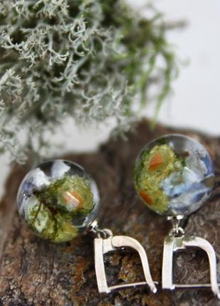 Серьги-шарики с сухоцветами в ювелирной смоле.5 фото