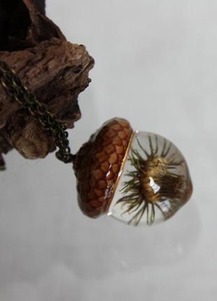 Кулон жолудь з будяками в епоксидній смолі.6 фото