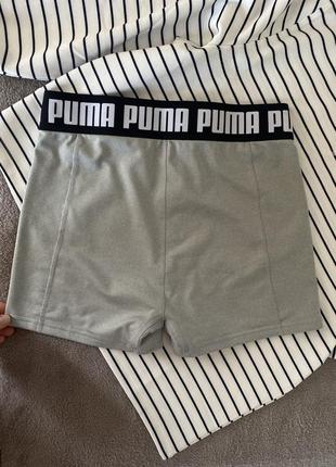 Оригинальный шорты спортивные puma4 фото
