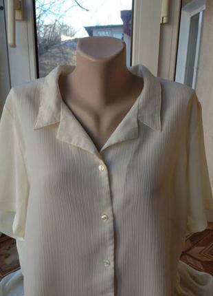Брендова блуза блузка сорочка великого розміру батал4 фото