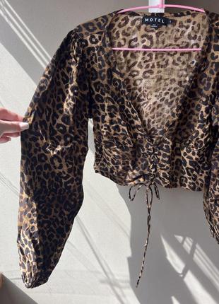 Леопардова блуза з відкритим декольте на зав'язках коричнева насичений колір лонгслів кроп топ з об'ємними рукавами motel6 фото