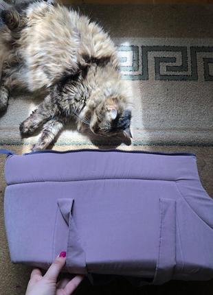 Переноска для котика чи невеликого песика