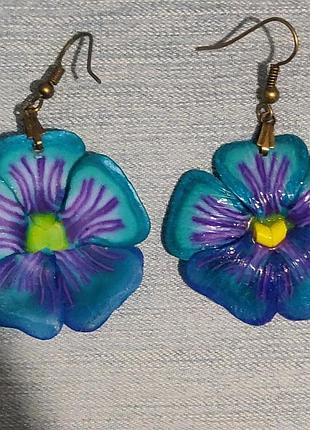 Сережки "братки" 3