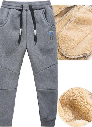 Теплые спортивные брюки для мальчика серые / антрацит на меху