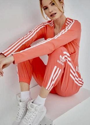 Уценка знижка кофта топ спортивный adidas яркий спортивный зал фитнес