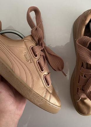 Кросівки / кеди puma basket heard copper