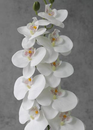 Штучна гілка, латексна орхідея real touch, колір білий, 9 кв., 97 см. квіти преміум-класу для інтер'єру, декору, фотозони2 фото