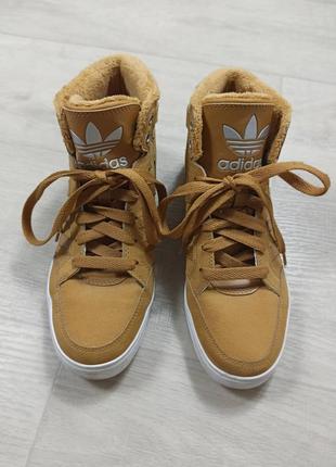 Крутейшие кеды adidas2 фото