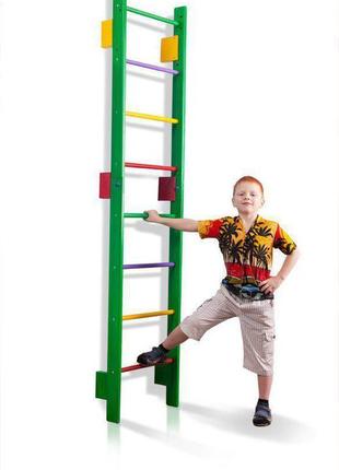 Шведська дитяча спортивна стінка дерев'яна