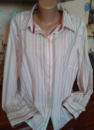 Cavita(німеччина) блуза-сорочка в смужку з люрексной ниткою 52...2 фото