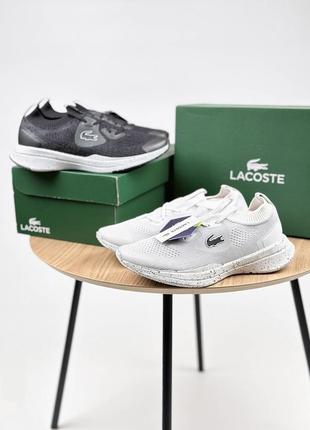 Кроссовки lacoste, оригинал