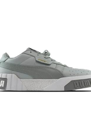 Puma cali grey