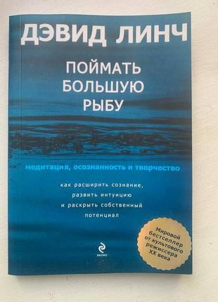 Книга девида Ленча «поймают большую рабу»