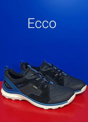 Кожаные кроссовки ecco biom gore-tex оригинал1 фото