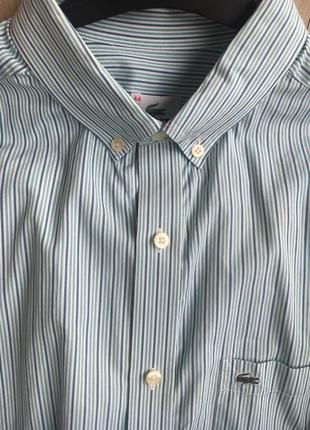 Рубашка от lacoste р.50-54