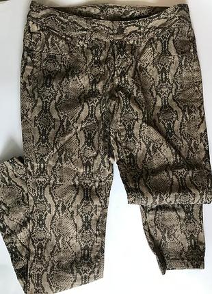 Брюки со змеиным принтом