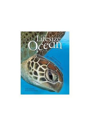 Книга lifesize ocean (9780753436349) kingfisher