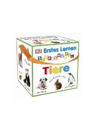 Книга erstes lernen: stapelwürfel tiere (box) (9783831028658) ...