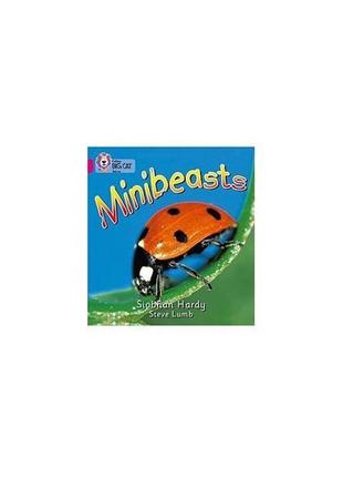 Книга big cat 1a minibeasts. (9780007185375) collins