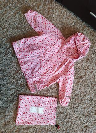 Вітровка impidimpi