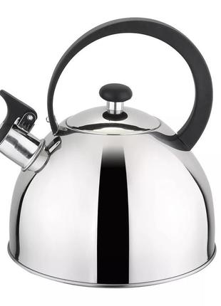 Чайник із свистком gusto silver gt-1410-20 2 л сріблястий