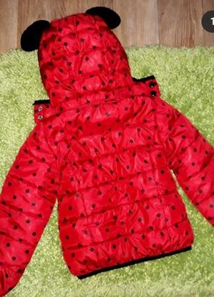 Демісезонна куртка hm 8