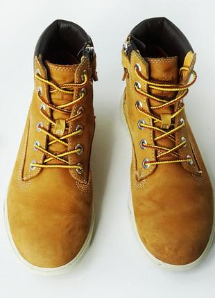 Черевики timberland