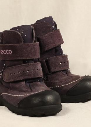 Чоботи ecco gore-tex розмір 24