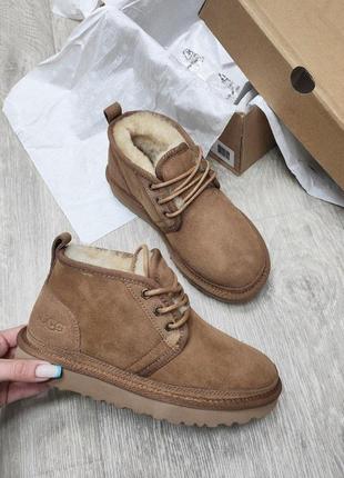 Угг ботинки рыжие женские ugg neumel boot "chestnut" women