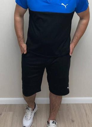 Комплект (шорты и футболка поло)