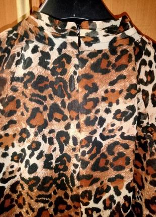 Блуза леопардового принта6 фото