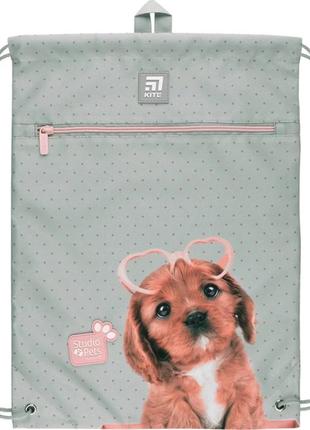 Сумка для взуття з кишенею kite education studio pets sp22-601m-1