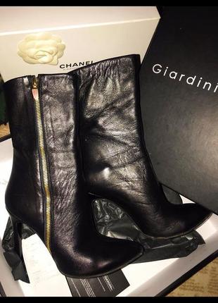 Giardini shoes