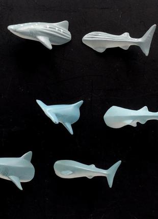 Набір магнітів "акули"
