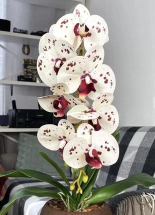 Латексна орхідея, штучна1 фото