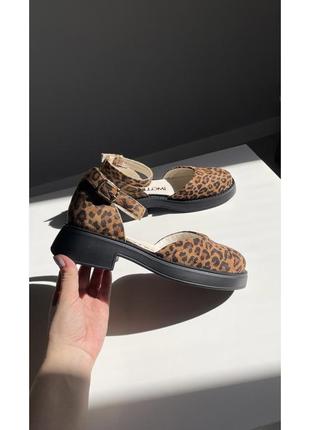 Замшеві відкриті туфлі леопардові | 804663 фото