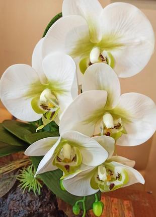 Орхидея искусственная латексная5 фото