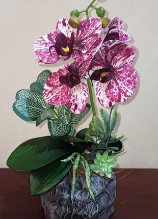 Орхидея искусственная латексная6 фото