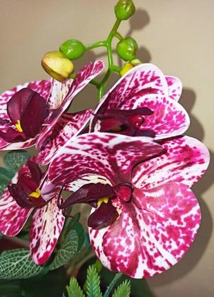 Орхидея искусственная латексная7 фото